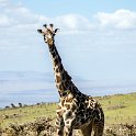 TZA ARU Ngorongoro 2016DEC23 065 : 2016, 2016 - African Adventures, Africa, Arusha, Date, December, Eastern, Month, Ngorongoro, Places, Tanzania, Trips, Year